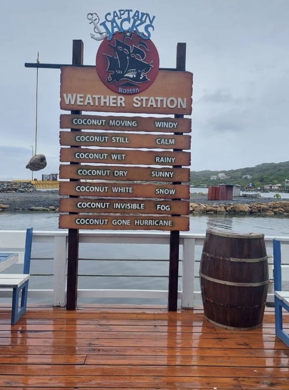 The famous coconut weather station